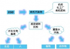  在線水質(zhì)監(jiān)測知識篇-化學(xué)需氧量COD