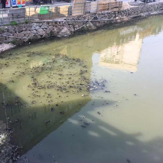  秋冬交替，污泥又到了換季膨脹的季節(jié)