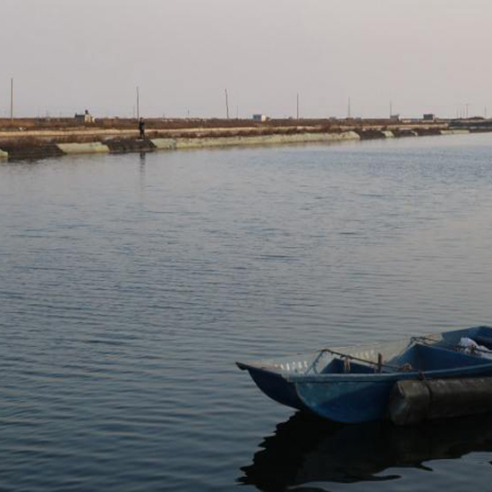  什么是溶解氧（DO）