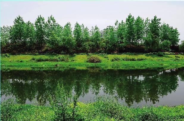  小微型水質(zhì)監(jiān)測站如何選用水質(zhì)自動采樣器？