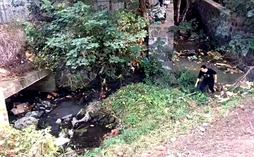 巡查人員深入探&ldquo;敵情&rdquo;