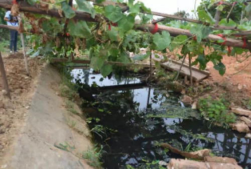 長沙市后湖：徹底消除黑臭，實(shí)現(xiàn)&ldquo;長治久清&rdquo;