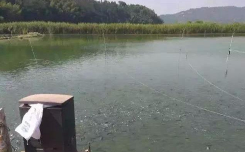 水渾了？不用怕，這五個(gè)方面讓水質(zhì)恢復(fù)清新